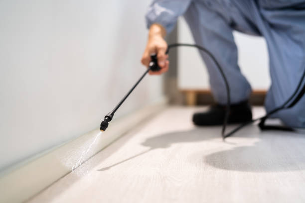 Licensed Pest Control service in Manchester, MD - Show Me Pest Control