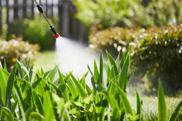 24/7 Emergency Mosquito Control experts in Manchester, MD